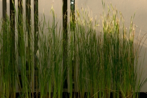 藝術(shù)小鎮(zhèn)光影景區(qū)文化公園策劃規(guī)劃設(shè)計(jì)院運(yùn)營(yíng)公司